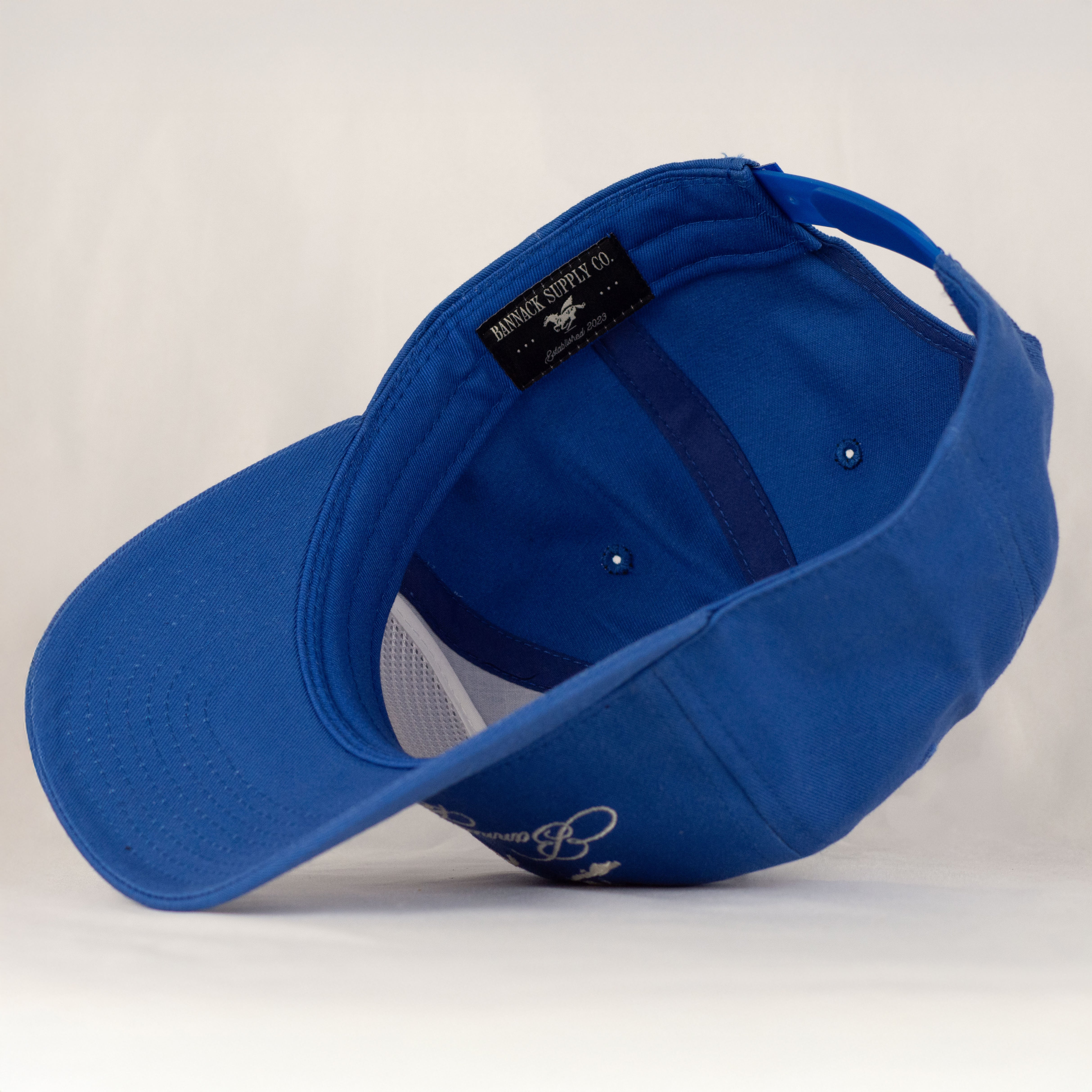 Birds in Flight Snapback Hat (Royal)