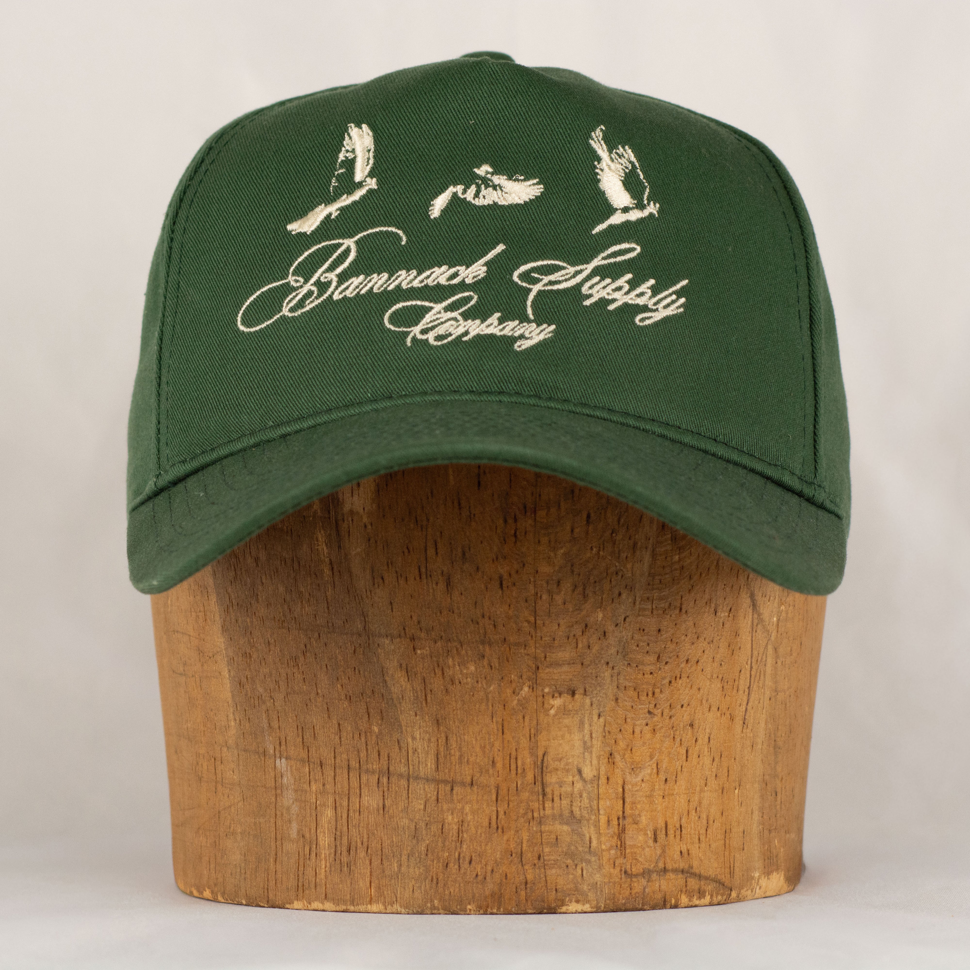 Birds in Flight Snapback Hat (Forest)