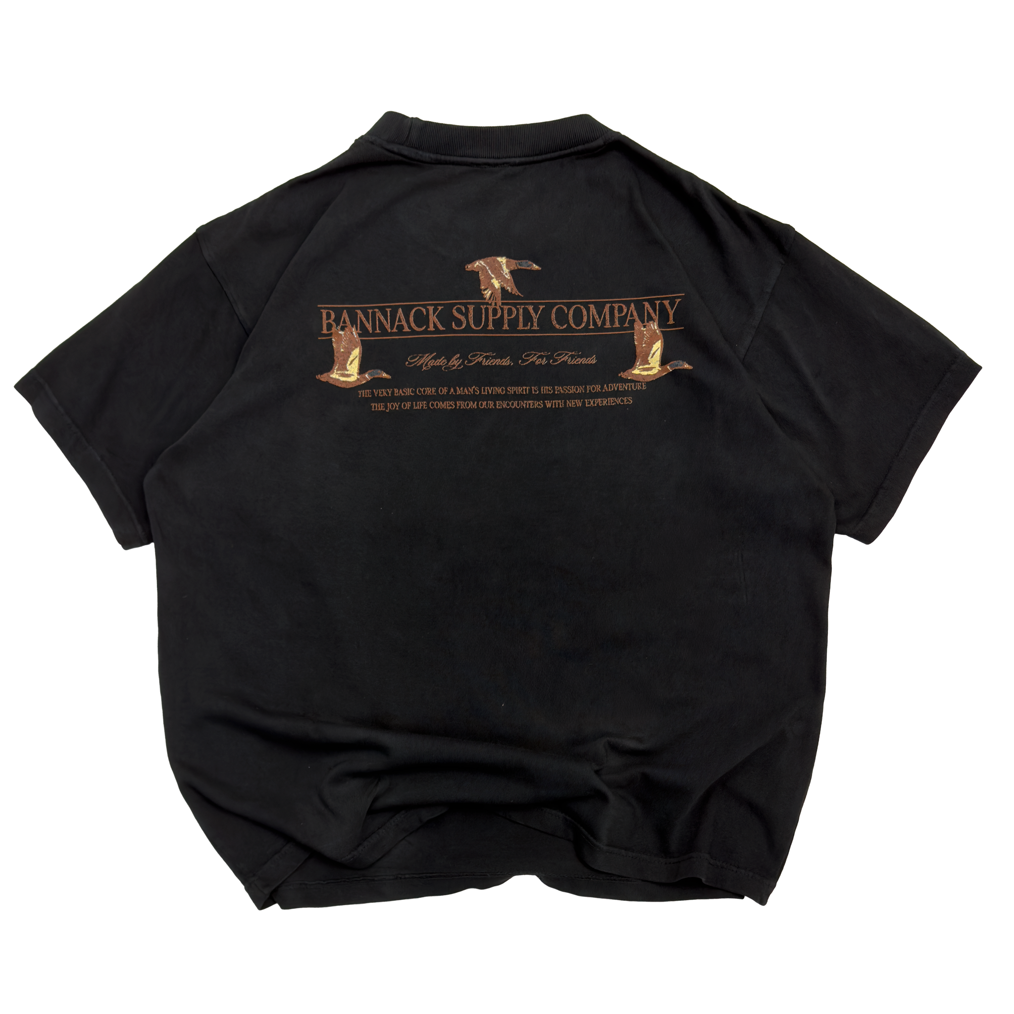 Ducks in Formation Tee